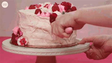 cake cutting gif